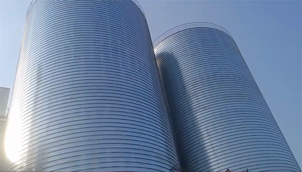 益阳2座混凝土高架卷板仓